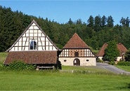 weitere Infos, Termine + Filme Ahorn >